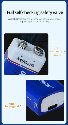 Picture of Doublepow 9V 5400mWh Lithium-ion Rechargeable Battery with Built-in USB Type-C Fast Charging Port High Capacity Battery for Electric Vehicles, Boats, Smoke Alarms, Toys, Medical Equipments & Home Appliances - 2 Pieces ( Blue )