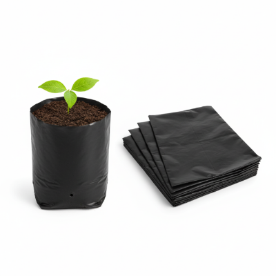 Picture of 6 Inch Nursery Poly Bag - 50 Pcs | Perfect for Seedlings in Bangladesh