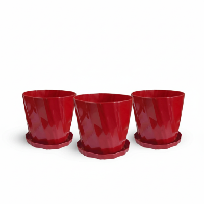 Picture of 4 Inch Camellia Planter Set - 3 Pcs | Buy Online in Bangladesh