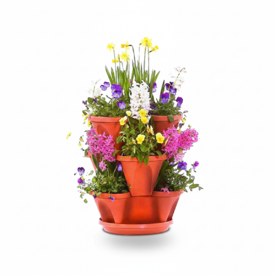 Picture of Lotus Flower Tub With Tray - Grow Beautiful Aquatic Plants in Bangladesh