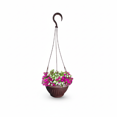 Picture of 11 Inch City Hanging Planter - Beautify Your Balcony in Bangladesh