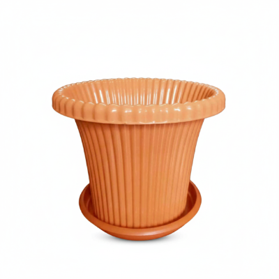 Picture of Daisy Flower Tub With Tray - Grow Beautiful Flowers in Bangladesh