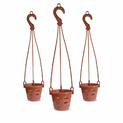 Picture of 4 Inch Orchid Planter - 3 Pcs Set for Beautiful Orchid Gardening