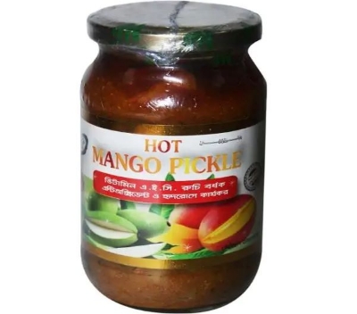 Picture of Mango Pickle 400 gm Amer Acher Modern Herbal