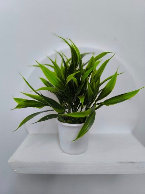 Picture of artificial flowers plan with tob