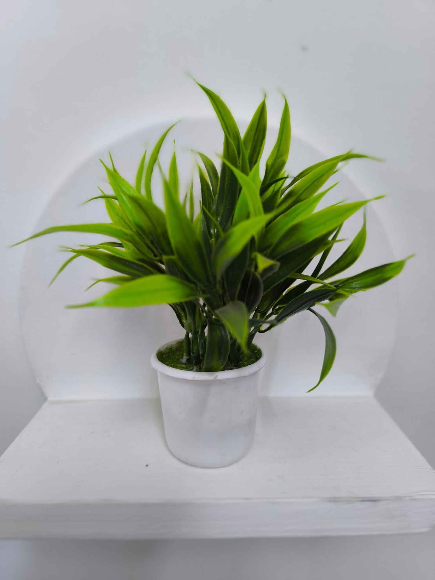 Picture of artificial flowers plan with tob