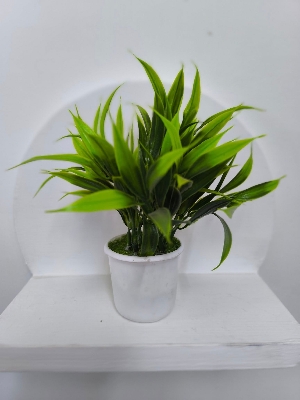 Picture of artificial flowers plan with tob