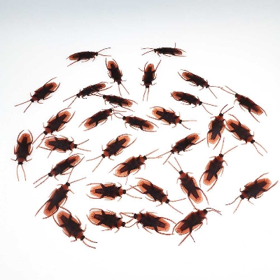 Picture of Simulation Plastic Cockroach Toy Realistic Insect Prank Funny Toys