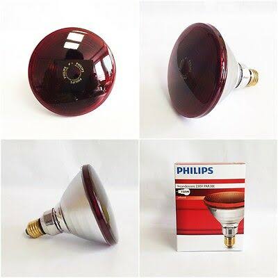 Picture of Philips Infrared Lamp BULB-150W - Red