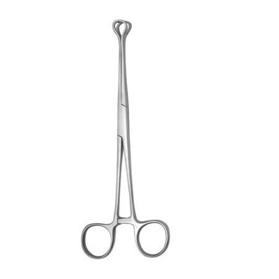Picture of Stainless Steel Tissue/Organ/Gland Holding Forceps- Babcock Tissue Forcep- 16 cm - Silver