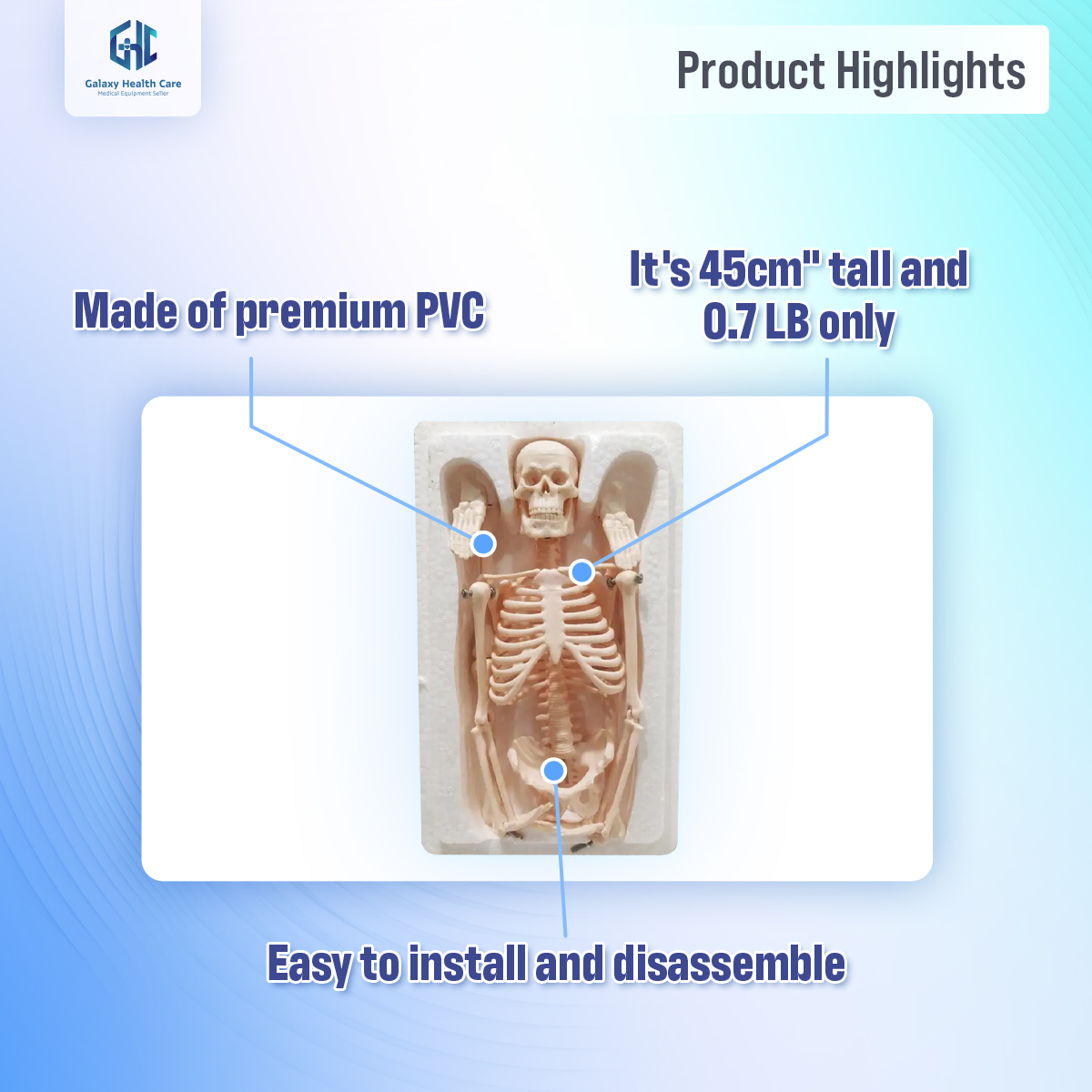 Picture of Human Skeleton With Stand - White