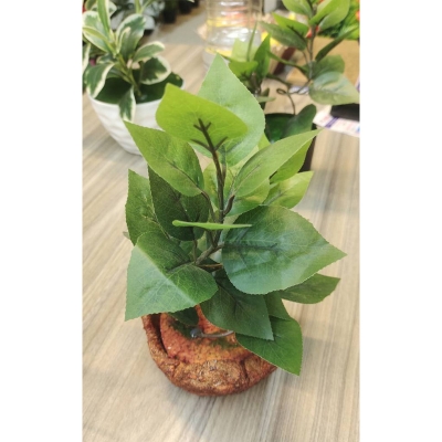 Picture of Artifacial Tree plants with The plant is a small, artificial bonsai-style plant with green leaves in a textured, terracotta-colored pot.