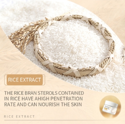 Picture of Bioaqua Rice Raw Pulp Rice Extracted Hydrating & Moisturizing Face Cream-50g - 