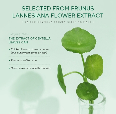 Picture of LAIKOU Centella Frozen Sleeping Mask- 100g - 