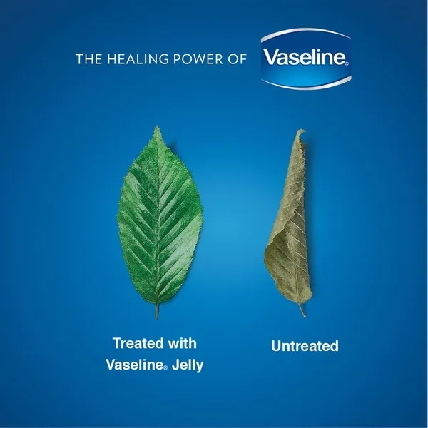 Picture of 48 Pcs 9ml Mini Vaseline Case. Travel Size Jars, Pure White Petroleum Jelly