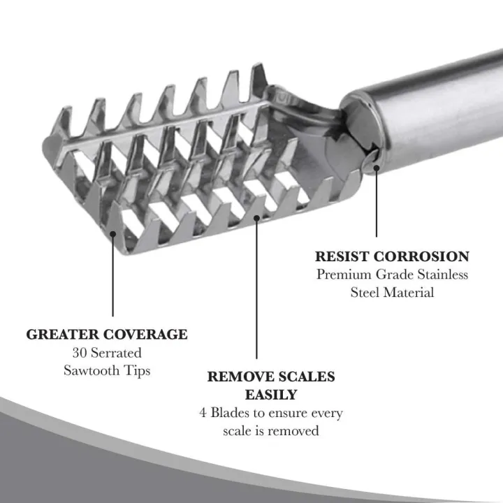Picture of Stainless Steel Fish Scale Cleaner - Silver (Silver)