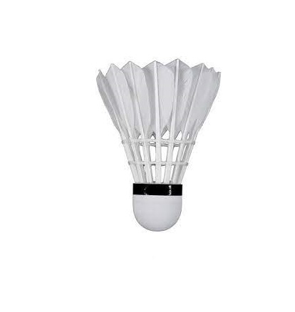 Picture of White Badminton Feather Cock - 2pc White