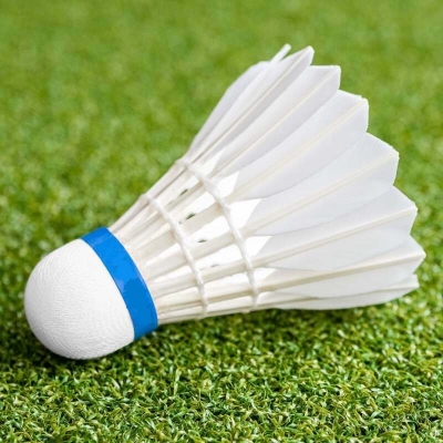 Picture of Badminton Feather Shuttlecock 12 Ps White