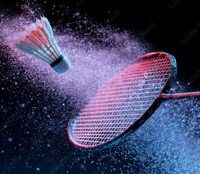 Picture of Badminton Feather Shuttlecock 12 Ps White