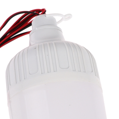 Picture of DC 12 Volt 20 Watt SMD Chip LED Light With 2 Meter Ware White