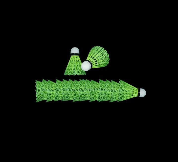 Picture of 10 Pcs Plastic Badminton Shuttlecock Lightweight For Practice Portable Shuttlecocks Training Kids Entertainment 