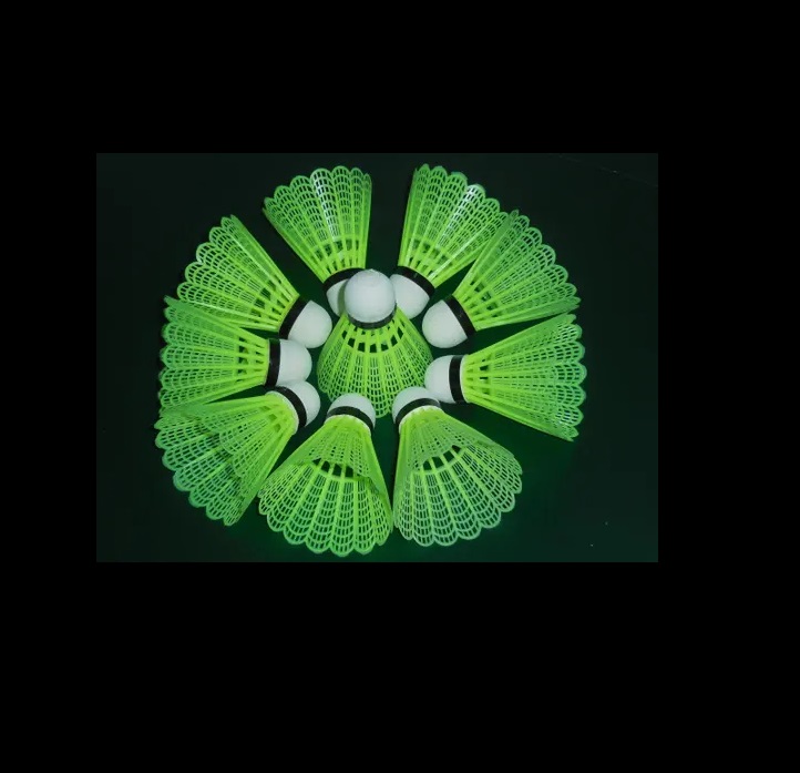 Picture of 10 Pcs Plastic Badminton Shuttlecock Lightweight For Practice Portable Shuttlecocks Training Kids Entertainment 