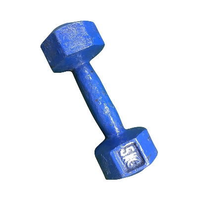 Picture of Dumbbell 5Kg Blue Fixed