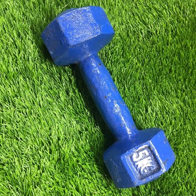 Picture of Dumbbell 5Kg Pics - Blue