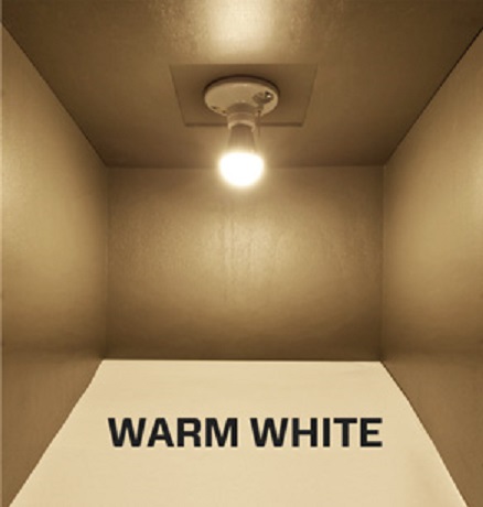 Picture of iPOWER Warm Colour Energy Saving LED Light 5 Watt - Base B-22 Warm