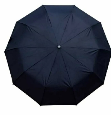Picture of Sankar Automatic 10 ribs Umbrella auto open waterproof fabrics umbrella