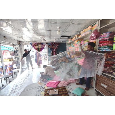 Picture of tree covering net