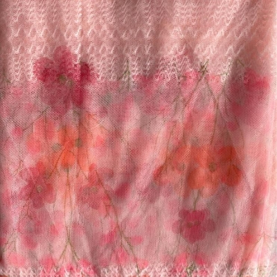 Picture of kachabadam mosquito