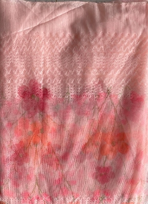 Picture of kachabadam mosquito