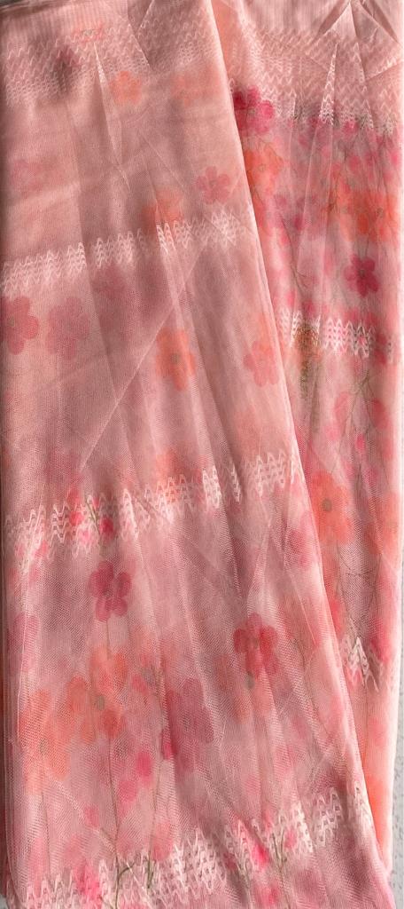 Picture of kachabadam mosquito