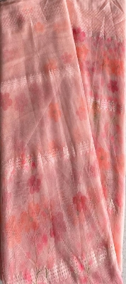 Picture of kachabadam mosquito