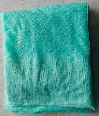 Picture of tulip mosquito