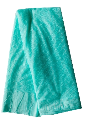 Picture of tulip mosquito