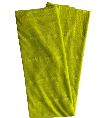 Picture of kachabadam mosquito