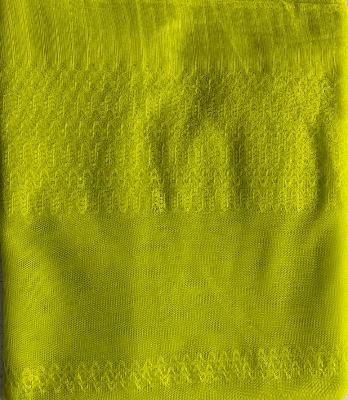 Picture of kachabadam mosquito