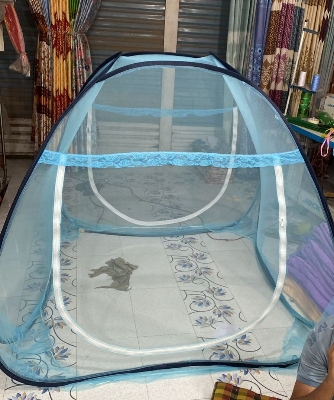 Picture of smart mosquito (goar moshari).