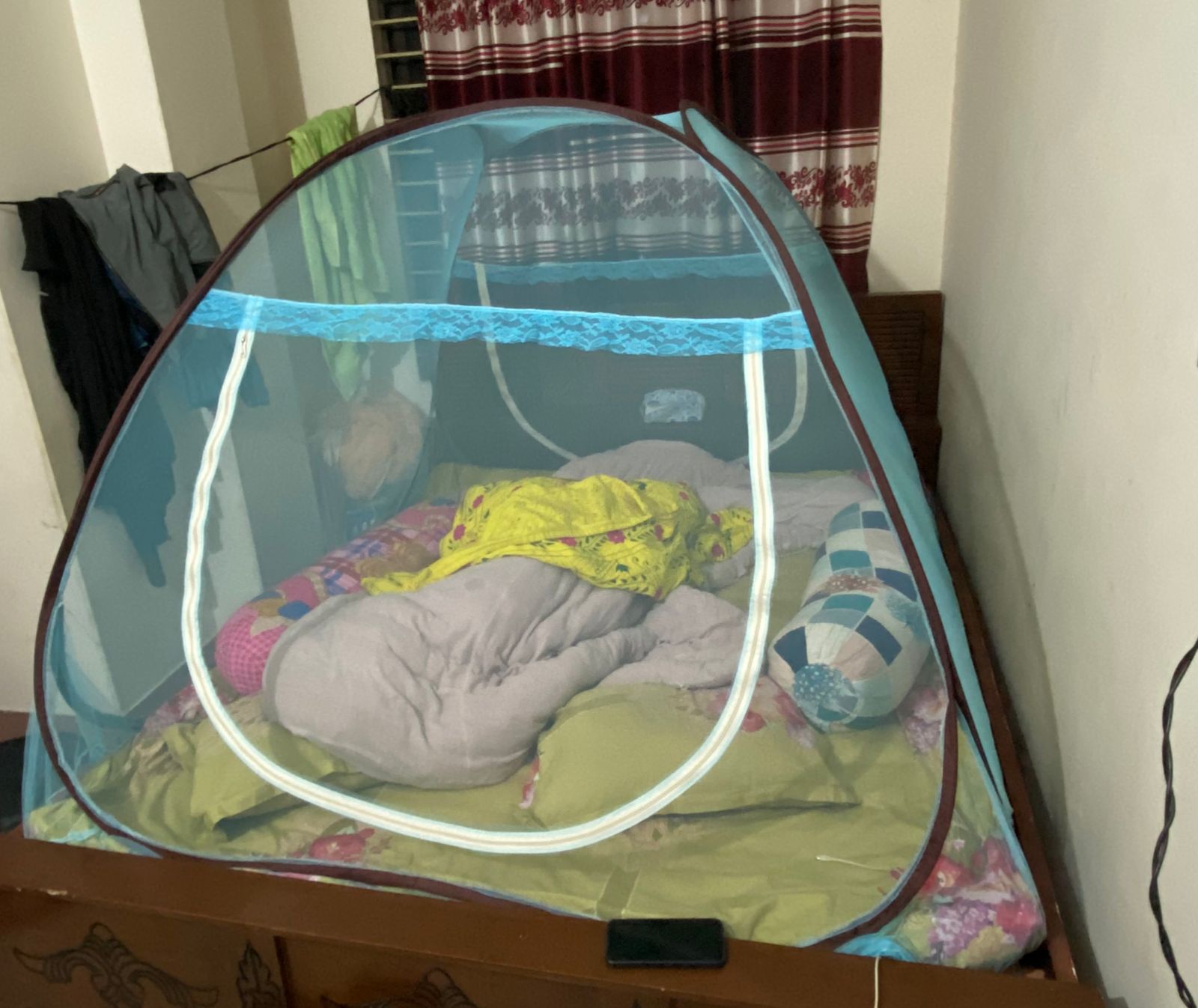 Picture of smart mosquito (goar moshari).