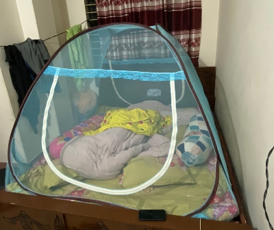 Picture of smart mosquito (goar moshari).