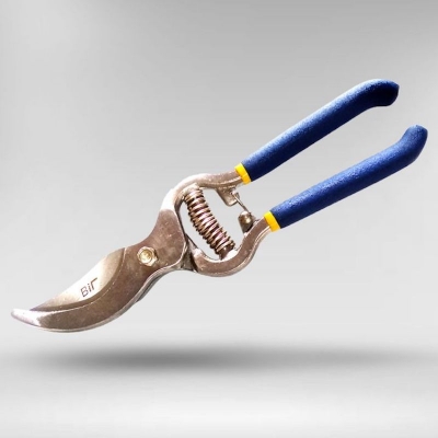 Picture of Professional 10 Inch Bir Garden Scissors, Fruit Tree Pruning Shears Bonsai Pruners Grafting Cutter Garden Tools - Blue