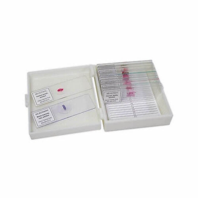 Picture of Mitosis Permanent Slide 1 Set