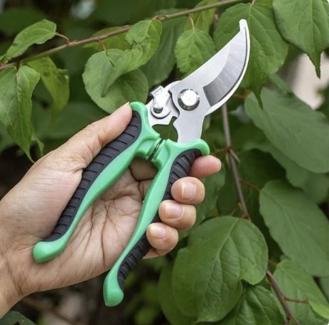Picture of Stainless Steel Pruner Tree Plant Cutter Gardening Pruning Shear Trimming Pruning Scissors