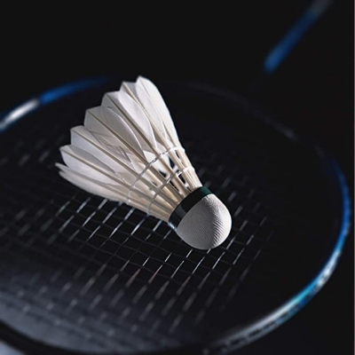 Picture of White Badminton Feather Cock - 2pc White