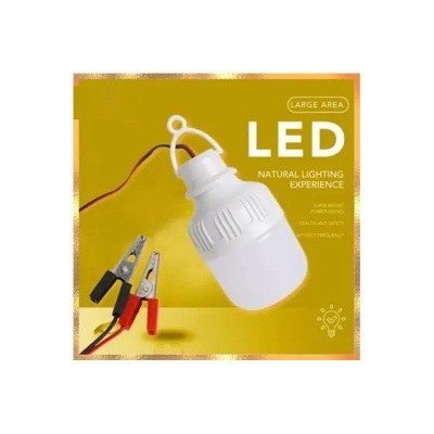 Picture of 5 watt DC LED Light Bulb with 2 Meter Ware & Chlip White