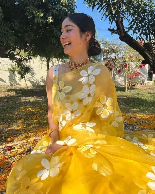 Picture of Hand Print Saree New Collection Orange Color Fashionable Stylish and Comfortable Traditional Clothing formal wear For Women - Orange