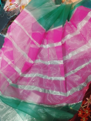 Picture of Organza Digital Printed Saree New Collection Rainbow Color Fashionable Stylish and Comfortable For Women - Rainbow