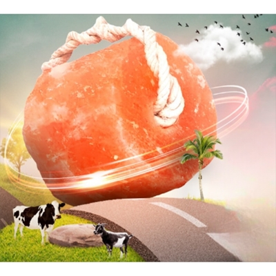 Picture of Cow Himalayan Pink Salt 6 Block (18-19 kg)